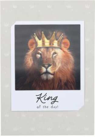 King of the day!